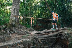 BIB: 
                            <button type="button" onclick="openModal(27751828)" class="btn btn-primary btn-sm float-right btn-popup" data-toggle="modal" data-target=".modal-high-quality">
                        <i class="fas fa-shopping-cart"></i> Add to Cart
                    </button>
                                            <button type="button" onclick="isThisMe(27751828, true)" class="btn btn-success btn-sm float-right btn-popup btn-isme hidden" data-toggle="tooltip" data-placement="bottom" title="นี่คือรูปของคุณใช่ไหม คลิกที่นี่เพื่อเอาเข้าอัลบั้ม">
                        <i class="fas fa-plus"></i> Add to album
                    </button>
                    <button type="button" onclick="isThisMe(27751828, false)" class="btn btn-warning btn-sm float-right btn-popup btn-isnotme hidden">
                        <i class="fas fa-ban"></i> Remove from album
                    </button>